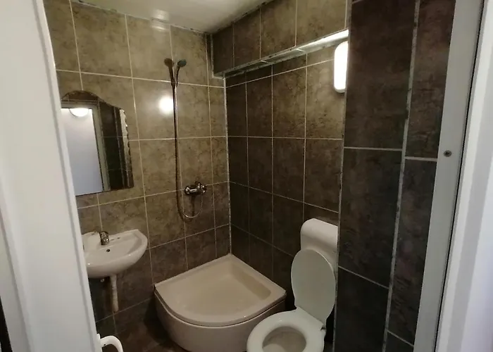 Casa Tomis Pensiune *